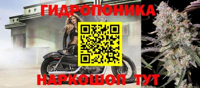 мяу мяу мука Славянск-на-Кубани
