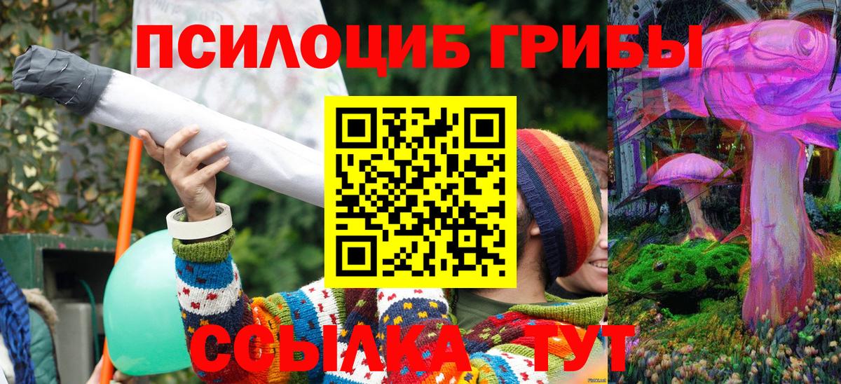 Острогожск  Псилоцибиновые грибы GOLDEN TEACHER  Вход с VPN 