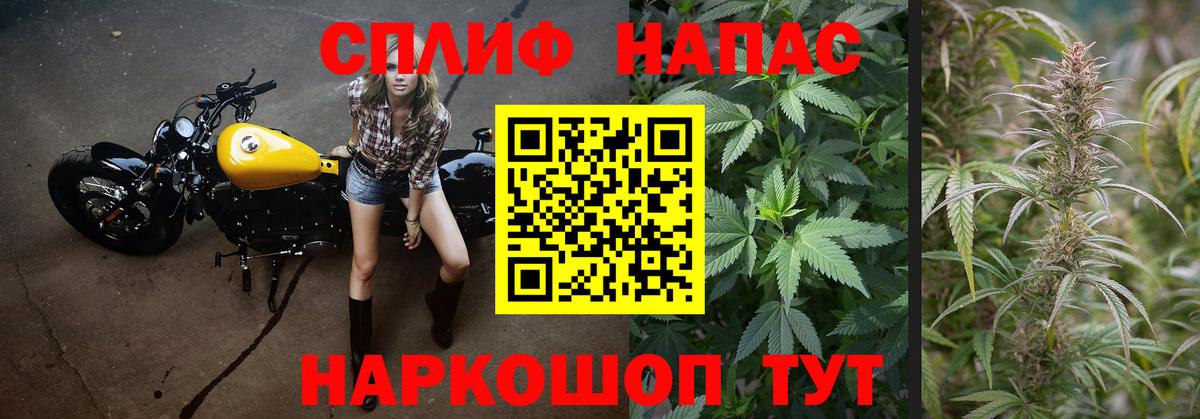 Марихуана Bruce Banner  МАРИХУАНА семена  Острогожск  Конопля AK-47  Каннабис ГИДРОПОН  Вход с VPN 